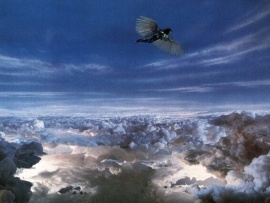 Бразилия (3)