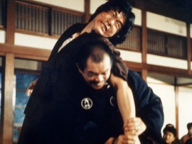 Новый кулак ярости