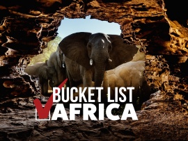 Список желаний. Африка