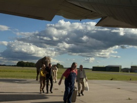 Столетний старик, который вылез в окно и исчез (5)
