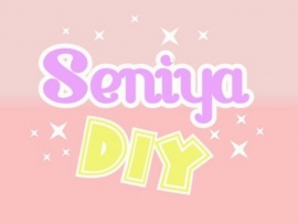 Seniya DIY