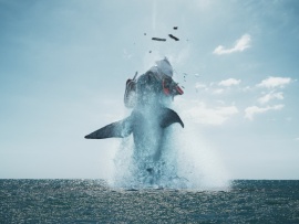 Мегалодон (6)