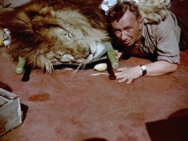 Полосатый рейс (3)