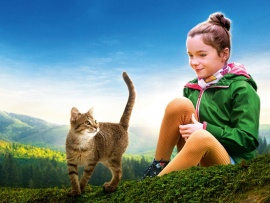 Это мой кот