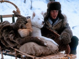 Железная воля