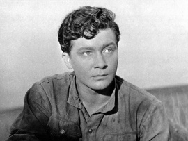 Степные зори