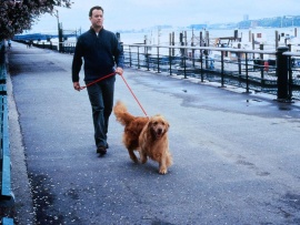 Вам письмо (5)