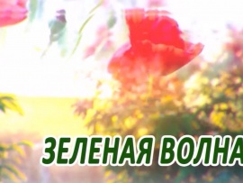 Зеленая волна