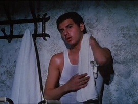 Крепость чистоты (2)