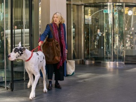 Верный друг (6)