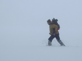 Пришелец (2)