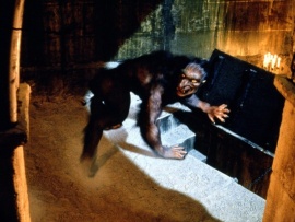 Американский оборотень в Париже (2)