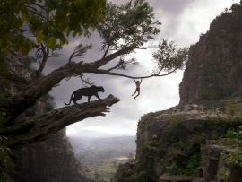 Книга джунглей (2)