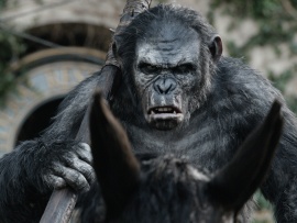 Планета обезьян: Революция