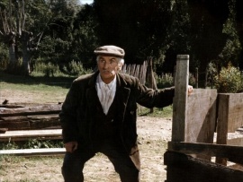 Суп с капустой (6)