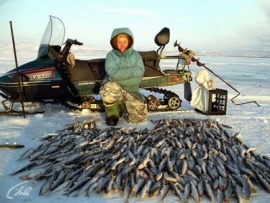 Подледный лов корюшки