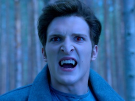 Огни большой деревни (5)