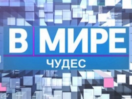 В мире чудес