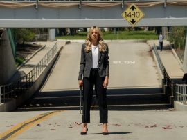 Девушка, подающая надежды (6)