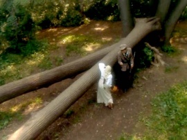 Барышня-крестьянка (4)