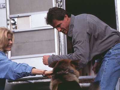 Зловещая луна