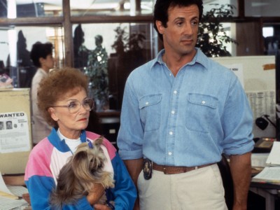 Стой! Или моя мама будет стрелять