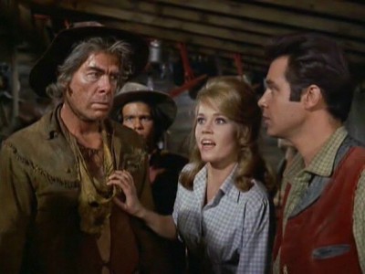 Кошка Балу (6)