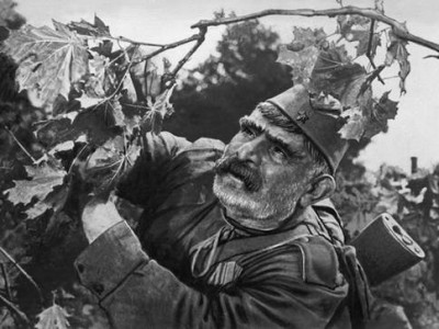 Отец солдата (4)