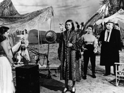 Дама без камелий (2)