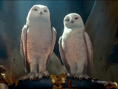 Легенды ночных стражей