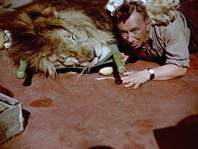 Полосатый рейс (3)