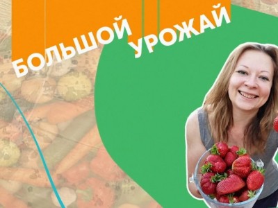 Большой урожай