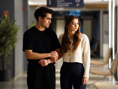 Зимородок (2)