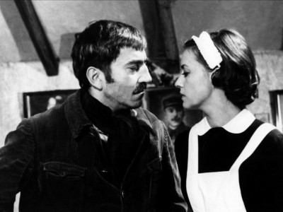 Дневник горничной