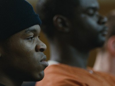 Загон для собак (3)