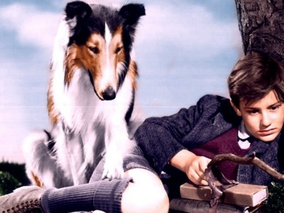 Лесси возвращается домой