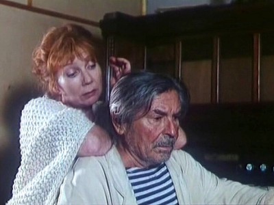 Цветы календулы