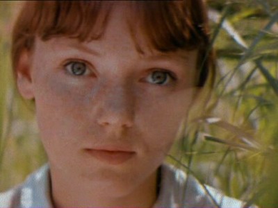 Дачная поездка сержанта Цыбули (5)