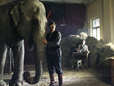 И вот пришёл Бумбо...