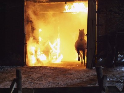 Поговори со мною о любви (3)