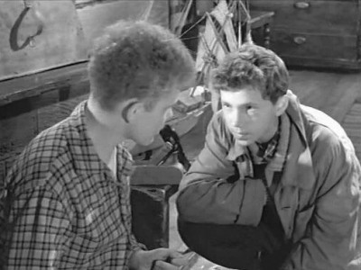 Тени старого замка