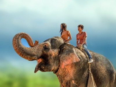 Побег с Фионой