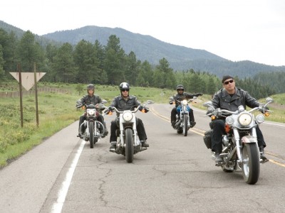 Реальные кабаны