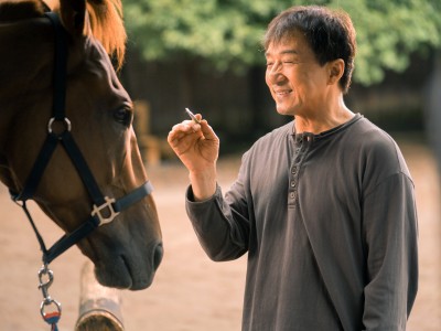 Кунг-Фу жеребец