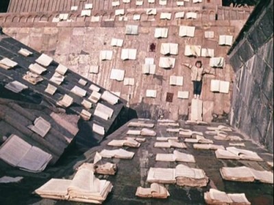 Цвет граната (5)