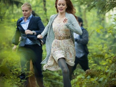 Библиотекари (4)