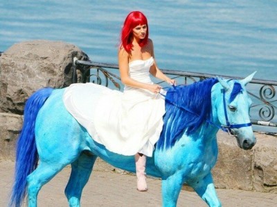 Медовый месяц Камиллы