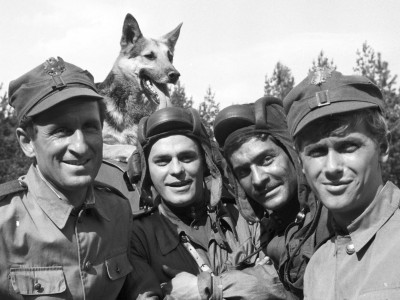 Четыре танкиста и собака