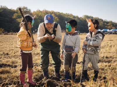 Игра в камешки