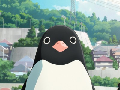 Тайная жизнь пингвинов